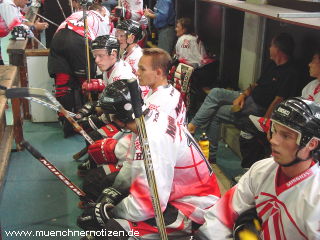 Das österreichische Nationalteam während des Spieles gegen die USA