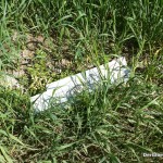 Kunststoffmüll belastet die Donau-Auen in Hainburg - die Umweltstadträtin der SPÖ blieb offensichtlich untätig | Foto: DerGloeckel.eu